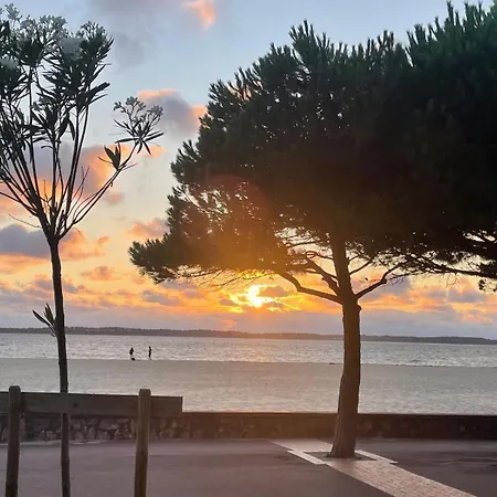 Vue Port, Arcachon, Piscine, Wifi * Arcachon